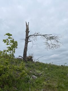 Foto von lotharkoerner entlang der Tour