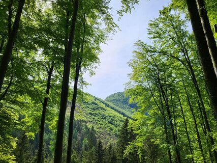 Foto von BergfexxMaxx entlang der Tour