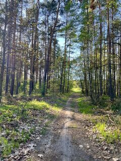 Fotó a Václav Stejskal honlapról a túra során