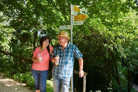 Wanderer auf dem Homburg-Steig