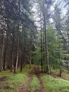 Foto von Gerti Glettler entlang der Tour