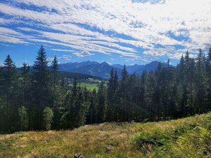 Photo de mmecki le long du parcours