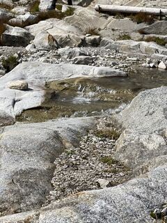 Photo de Judith Wilke le long du parcours