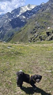 Photo de Gustl le long du parcours