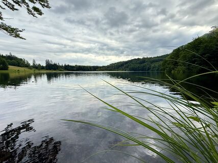 Foto van Dani Geiger / Natur_erleben_dg langs de tour