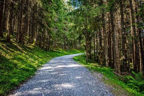 MTB Tour Lechnerberg.jpg