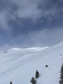 Fotografija s spletne strani P Nykamp na poti