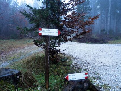 Abzweigung auf Weg 512