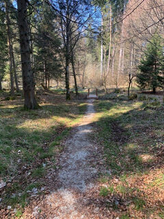 Eindrücke vom Rundweg