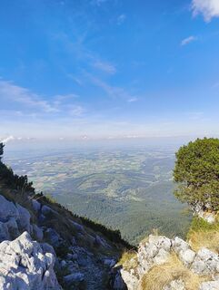 Fotografija s spletne strani sntyy na poti
