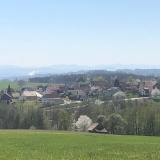 Zemljevid