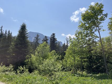 Foto von Heinz Sperl entlang der Tour