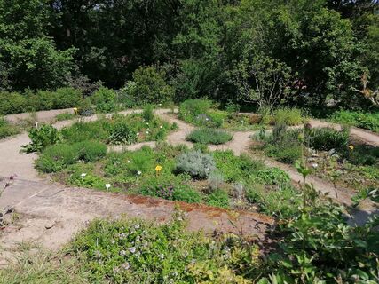 Weinheim_Heilkräutergarten_Jasmin-Wolf (21)