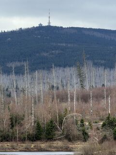 Photo de Christian H. le long du parcours
