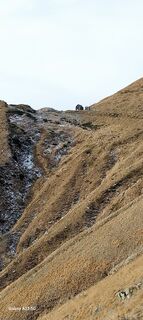 Foto fra Mauro underveis på turen