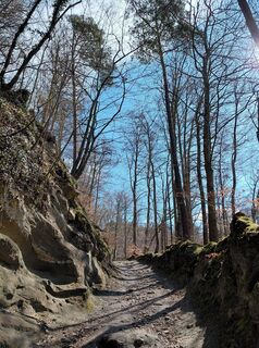 Photo de Supertschänn le long du parcours