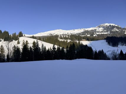 Fotografie z Ardvanduuren na trase