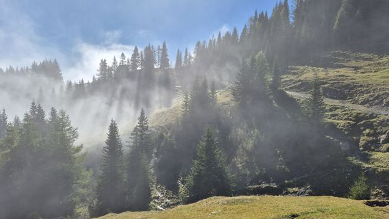 Photo de Hartmut Listberger le long du parcours