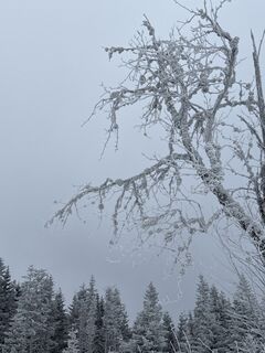Foto från Viktor Koller under resans gång