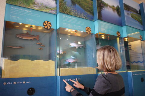 Interaktive Aquarienwand in der Ems-Erlebniswelt