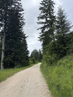 Photo de Heinz Sperl le long du parcours