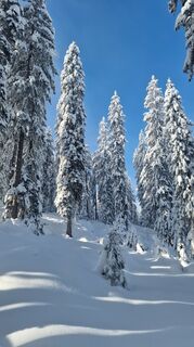 Mühlbach am Hochkönig, Salzburg/Österreich