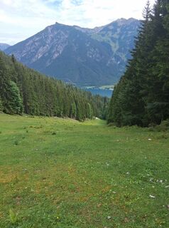 Fotografija s spletne strani Wiffwagener na poti