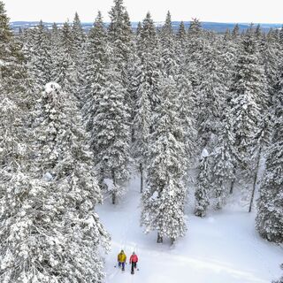 Schneeschuhwandern in Ukkohalla