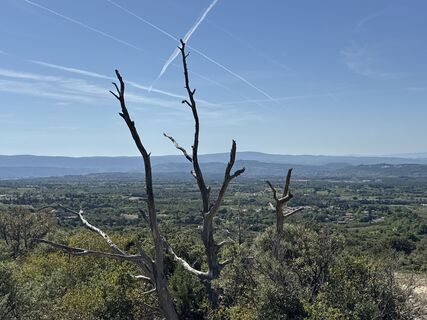 Fotografia z Grizzli na trase