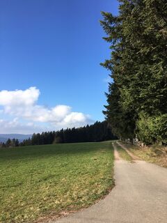 Foto de Ralf Umminger a lo largo del recorrido