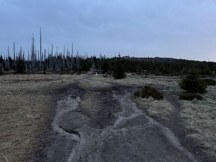 Photo de Dani Geiger / Natur_erleben_dg le long du parcours
