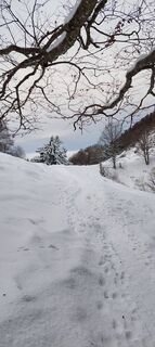 Foto de Jordy a lo largo del recorrido