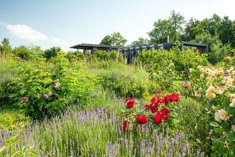 Start und Ziel ist das Nationalparkzentrum Hardegg