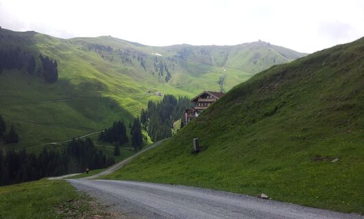 Melk Alm