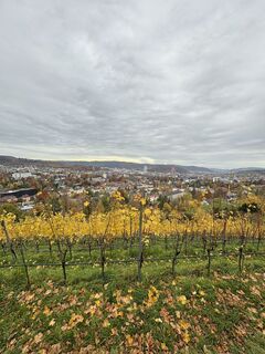 Fotó a ManCam honlapról a túra során