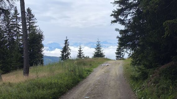 Foto von WilliSt entlang der Tour