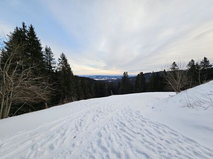 Foto von Voxy entlang der Tour