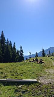 Fotografie z JohnCorner na trase