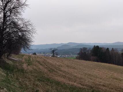 Fotografija s spletne strani Poschacher na poti