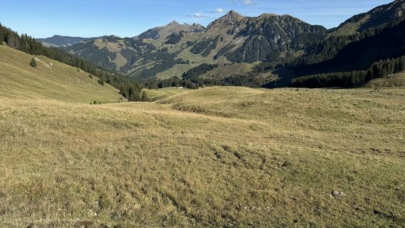 Foto von peter_oe entlang der Tour