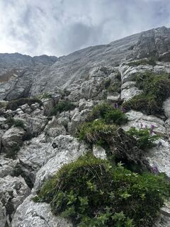 Foto von Carola Krems entlang der Tour