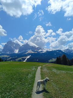 Foto von Montiba entlang der Tour