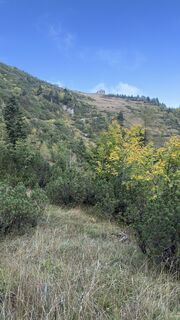 Fotografie de la Horst-Dieter Lutz de-a lungul turului