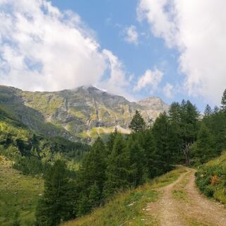 Wanderweg zum Lasörnsee