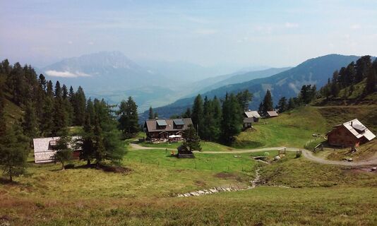 pleschnitzzinken_img_17029735