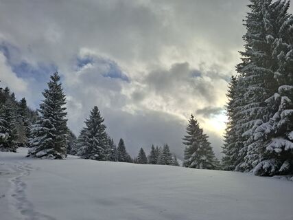 Fotografia z Márti na trase