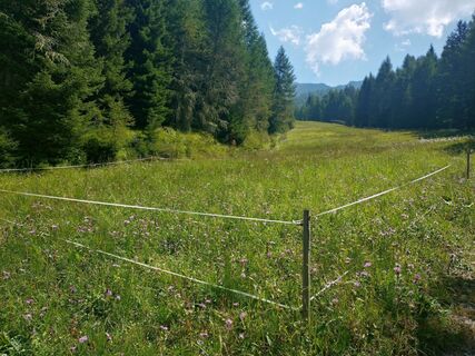 Photo from Mandy Schröter 2 along the tour