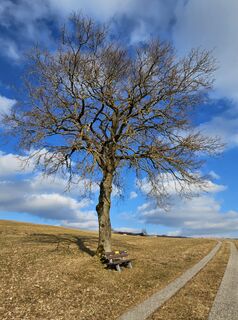 Foto von ElkeA entlang der Tour