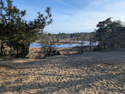 Photo de Matje Derks le long du parcours