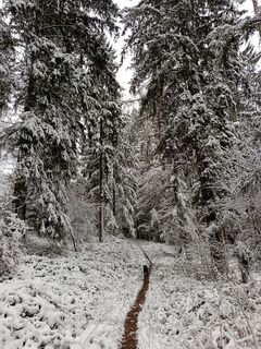 Foto von slawzak entlang der Tour
